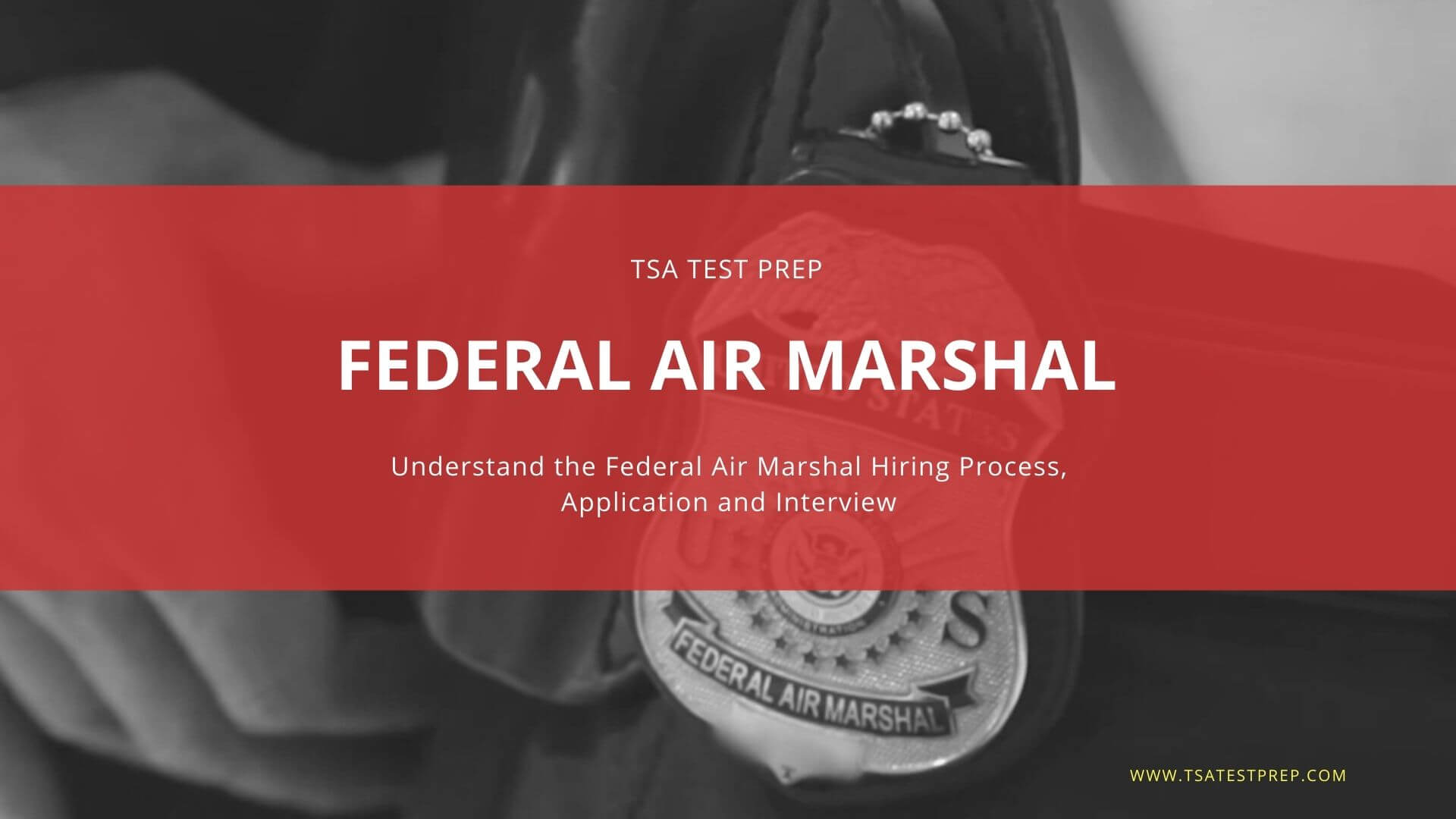 Federal Air Marshal Service and Law Enforcement Hiring Process