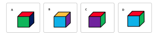 FEAST Practice Test: Cube Folding Sample Question