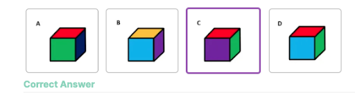 FEAST Practice Test: Cube Folding Sample Question